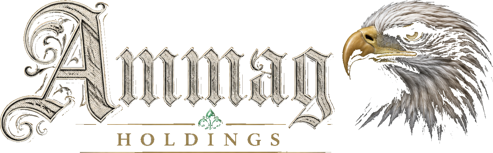 Ammag Holdings